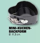 Aktuelles Mini-Kuchen-Backform Angebot bei E center in Ulm