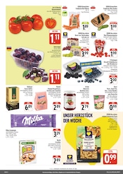 Lebensmittel im EDEKA Prospekt in Bamberg Aktueller EDEKA Prospekt mit Lebensmittel, "Wir lieben Lebensmittel!", Seite 2