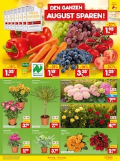 Paprika im Netto Marken-Discount Prospekt in Germering Aktueller Netto Marken-Discount Prospekt mit Paprika, "Aktuelle Angebote", Seite 11