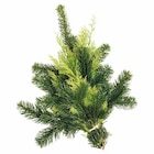 Kleiner Mixbund im Angebot bei Pflanzen Kölle in Nürnberg Kleiner Mixbund Angebote bei Pflanzen Kölle Nürnberg für 4,49 €