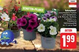 Angebot im E center Eilenburg Prospekt E center Eilenburg Prospekt mit im Angebot für 1,99 €