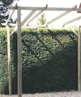 Pergola Droite en Pin en promo chez Super U Villeurbanne à 99,99 €