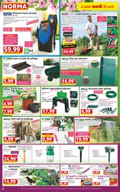 Plante Verte Angebote im Prospekt "Votre Discounter Régional" von Norma auf Seite 2