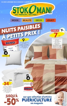 Promo Oreiller dans le catalogue Stokomani du moment à la page 1