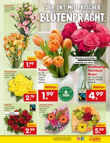 Blumen im Netto Marken-Discount Prospekt "Aktuelle Angebote" mit 60 Seiten (Jena)