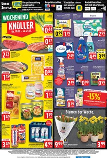 Blumen im EDEKA Prospekt "Aktuelle Angebote" mit 8 Seiten (Mönchengladbach)