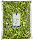 Salatmischung im Angebot bei METRO in Hagen Salatmischung Angebote von METRO Chef bei METRO Hagen für 9,62 €