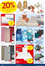 Schnittblumen Angebot im aktuellen ROLLER Prospekt auf Seite 14