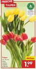 Frische Tulpen Angebote bei Netto Marken-Discount Lüdenscheid für 1,99 €