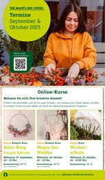 Geschenkartikel Angebot & Preis im aktuellen Pflanzen Kölle Prospekt Geschenkartikel Angebot im aktuellen Pflanzen Kölle Prospekt auf Seite 12
