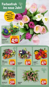 Zimmerpflanzen im REWE Prospekt "Dein Markt" mit 32 Seiten (Nürnberg)