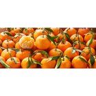 Clémentine feuille en promo chez Carrefour Clémentine feuille dans le catalogue Carrefour