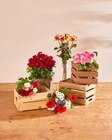 Carrefour Cholet - Promo Bouquet Bonne fête Papa Promo Bouquet Bonne fête Papa à 7,99 € dans le catalogue Carrefour à Cholet