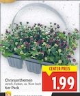Chrysanthemen für 1,99 € bei E center im Angebot Chrysanthemen im aktuellen E center Prospekt
