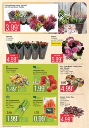 Silvester Angebot & Preis im aktuellen Marktkauf Prospekt Silvester Angebot im aktuellen Marktkauf Prospekt auf Seite 8