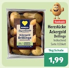 aktiv & irma Wardenburg Prospekt mit  im Angebot für 1,99 €