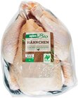 Frisches Hähnchen Angebote von REWE Bio bei REWE Halle für 11,10 €