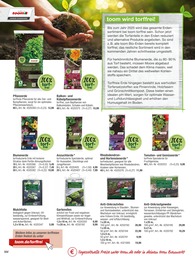 Blumenerde Angebot im aktuellen toom Baumarkt Prospekt auf Seite 164