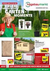 Hagebaumarkt Baumärkte Prospekt der aktuellen Woche mit 12 Seiten, gültig von 12.09.2026 bis 19.09.2026, in Itzehoe und Umgebung Aktueller Hagebaumarkt Baumärkte Prospekt in Itzehoe und Umgebung, "ERLEBE IMMERGRÜNE GARTENMOMENTE" mit 12 Seiten, 12.09.2026 - 19.09.2026