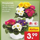 Primelschale von  im aktuellen Netto Marken-Discount Prospekt für 3,99 €