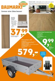 Aktueller Globus-Baumarkt Prospekt mit Holz, "Immer eine Idee besser", Seite 1