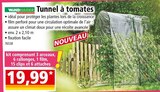 Tunnel à tomates à Norma dans Mirecourt