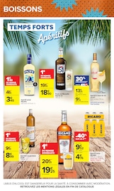 Promos Pastis dans le catalogue "LE MOIS DES SUPPORTERS" de Carrefour Pastis en promo dans le catalogue Carrefour à la page 49