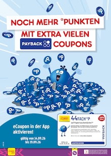 Taschentücher im Netto Marken-Discount Prospekt "Aktuelle Angebote" mit 71 Seiten (Ingolstadt)