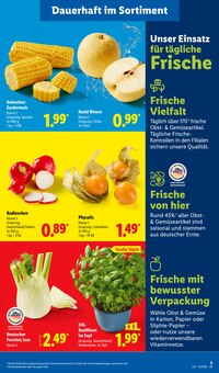Fenchel im Lidl Prospekt "LIDL LOHNT SICH" mit 73 Seiten (Duisburg)