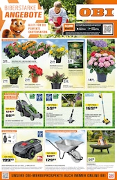 Baumarkt Prospekt von OBI Gotha OBI Prospekt: "BIBERSTARKE ANGEBOTE", 4 Seiten, 10.05.2025 - 17.05.2025
