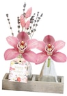 Composition Fleuron d'orchidée en promo chez Carrefour Composition Fleuron d'orchidée dans le catalogue Carrefour