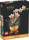 Mini-Orchidee im Angebot bei Rossmann in Mainz Mini-Orchidee Angebote von LEGO bei Rossmann Mainz für 19,99 €