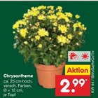 Chrysantheme Angebote bei Netto Marken-Discount Delmenhorst für 2,99 €
