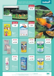 JBL Angebot im aktuellen ZooRoyal Prospekt auf Seite 7
