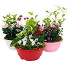 Promo Composition fleurie à 9,99 € dans le catalogue Jardiland à Basse-Goulaine