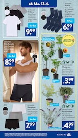 Rhododendron im ALDI SÜD Prospekt in Augsburg Aktueller ALDI SÜD Prospekt mit Rhododendron, "Gutes für Alle.", Seite 15