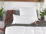 Kopfkissen Premium Ca. 40 x 80 cm Angebote von Häussling bei Lidl Monheim für 24,99 €