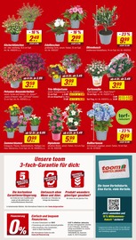 Hortensie im toom Baumarkt Prospekt in Essen Aktueller toom Baumarkt Prospekt mit Hortensie, "Respekt, wer's selber macht.", Seite 2