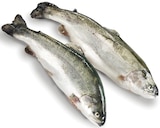 Forelle im Angebot bei METRO in Langenhagen Forelle Angebote von PRO TRACE bei METRO Langenhagen für 9,08 €