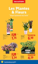 Prospectus Lidl "PRIX EN BAISSE" en cours à Créteil, Page 28 Catalogue Lidl en cours à Créteil, "PRIX EN BAISSE", Page 28