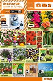 Baumarkt Prospekt von OBI Eschwege OBI Prospekt: "Top Angebote", 4 Seiten, 25.03.2023 - 01.04.2023