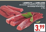 Lammfilets Angebote bei Marktkauf Herten für 3,99 €