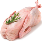 Aktuelle Ente Angebote bei Netto mit dem Scottie in Cottbus Aktuelles Frische junge Ente Angebot bei Netto mit dem Scottie in Cottbus ab 5,49 €
