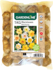 Tulpen im Angebot bei ALDI Nord in Flensburg Tulpen Angebote von GARDENLINE bei ALDI Nord Flensburg für 3,99 €