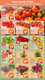Kräuter im REWE Prospekt "Dein Markt" mit 30 Seiten (Düsseldorf)