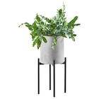 PFLANZENTOPF 13,5/36,5 cm Grau, Schwarz Angebote von Ambia Home bei XXXLutz Remscheid für 9,99 €
