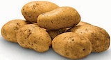 Markant Nordwest Aurich - Bio Speisekartoffeln Angebot im Prospekt Bio Speisekartoffeln bei Markant Nordwest im Aurich Prospekt für 1,49 €