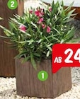 Aktuelle Blumentopf Angebote bei Raiffeisenmarkt in Hamm Aktuelles Pflanztopf Holzoptik Angebot bei Raiffeisenmarkt in Hamm ab 29,99 €