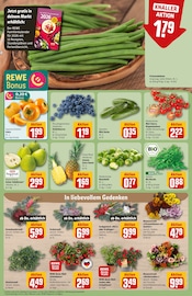 Ähnliche Angebote wie Teichpflanzen im Prospekt "Dein Markt" auf Seite 9 von REWE in Heidelberg