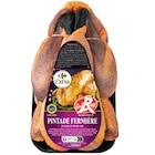 Pintade fermière I.G.P. Label Rouge - CARREFOUR EXTRA à 9,99 € dans le catalogue Carrefour